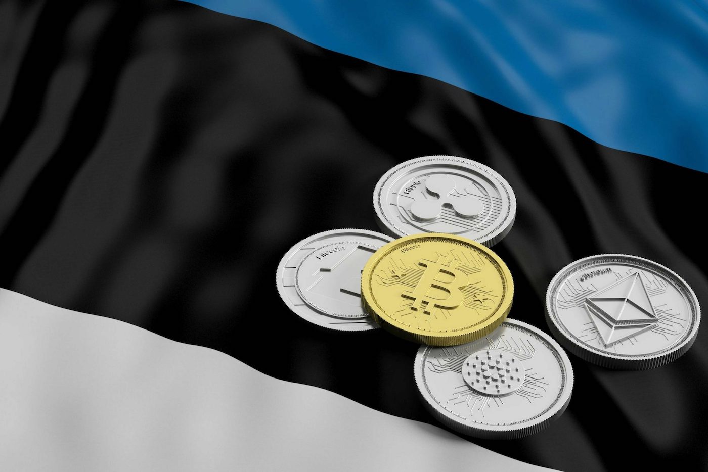 estonya kripto para baskisi