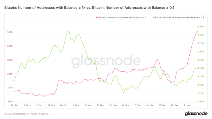 bitcoin btc balinalari btc satin almaya devam ediyor 2