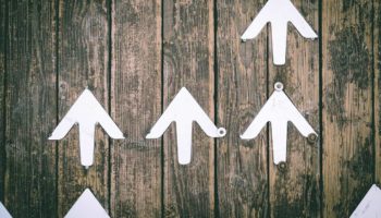 bu altcoinler gelen kotu habere ragmen guc kazaniyor