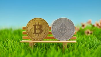 ekonomiste gore ethereum eth bitcoin btc rallisini taklit ederek 20 000 dolara ulasabilir