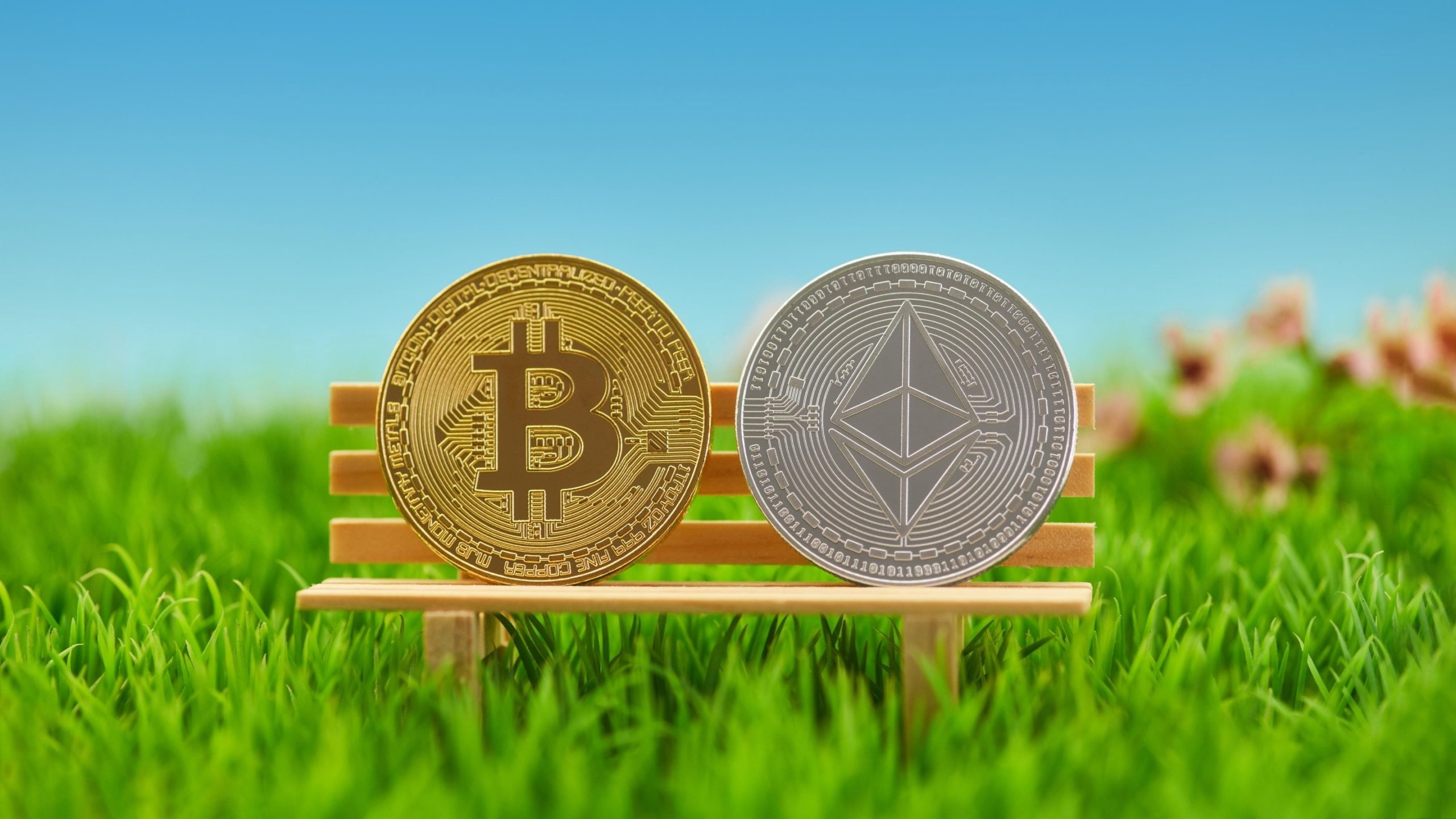 ekonomiste gore ethereum eth bitcoin btc rallisini taklit ederek 20 000 dolara ulasabilir