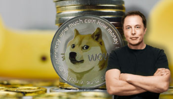 elon musk doge dogecoin