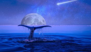 eth balina ethereum fiayt 2021