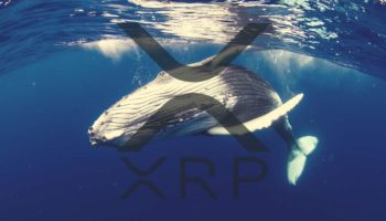 xrp balinasi