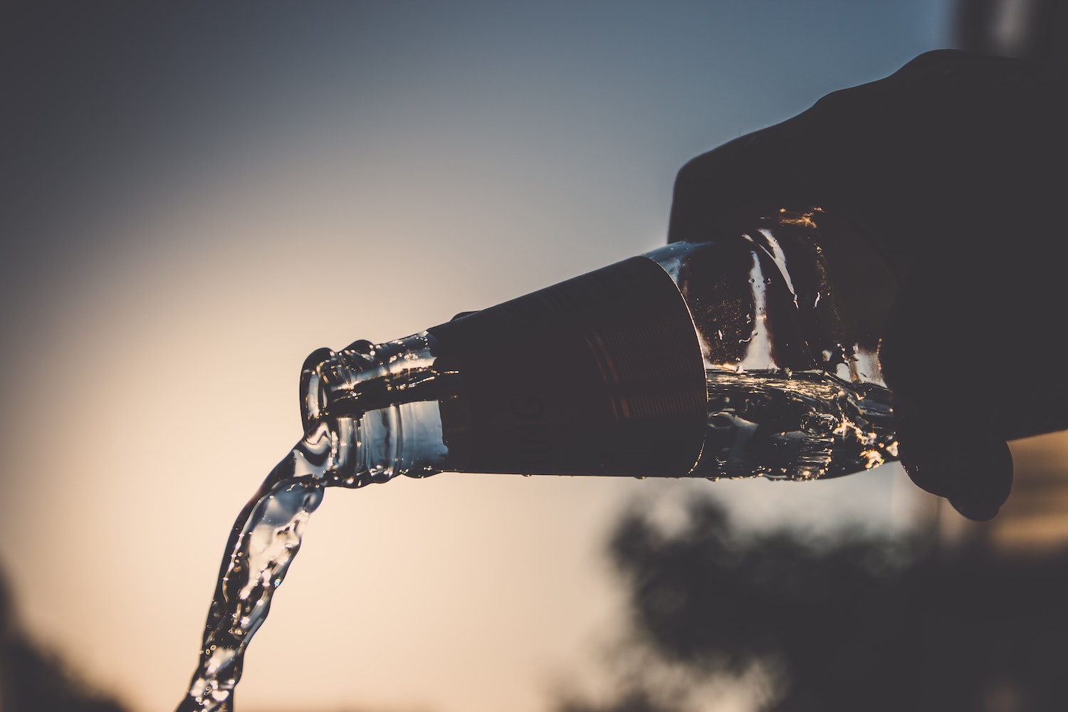 bitcoin app bottlepay is back from the dead with a new lightning app
