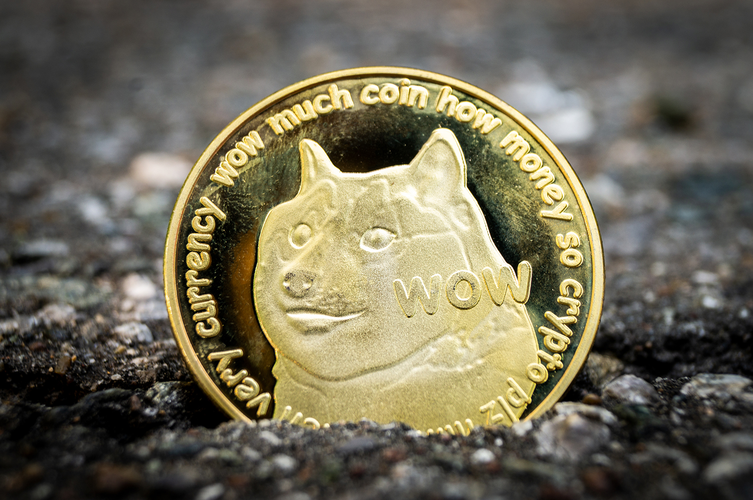 Dogecoin (DOGE) İşlem Ücretleri Litecoin (LTC) ve Bitcoin Cash'i (BCH)  Aşıyor • Coinkolik