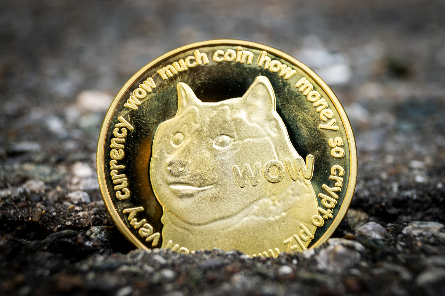 Dogecoin (DOGE) İşlem Ücretleri Litecoin (LTC) ve Bitcoin Cash'i (BCH) Aşıyor • Coinkolik