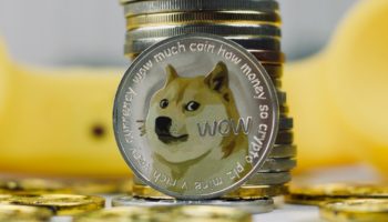 dogecoin doge pumplama kervanina dunyaca unlu sanatci da katildi