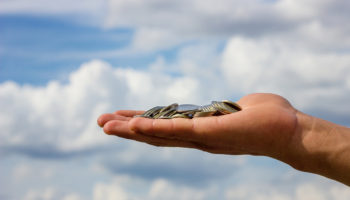 dunyaca unlu iki isimden 500 btclik bagis fonu