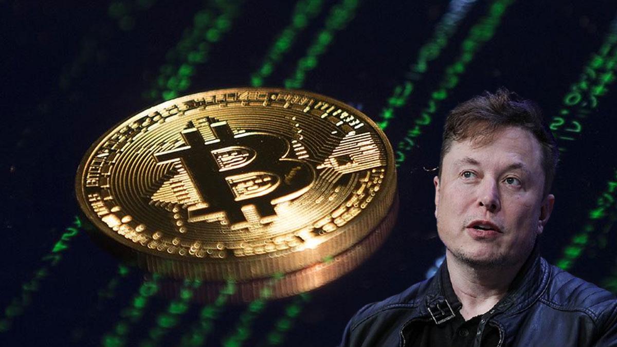 bitcoin code elon musk