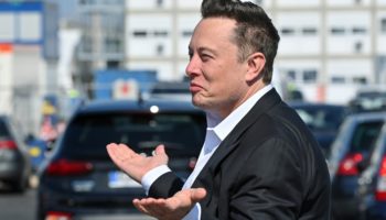 musk kripto para
