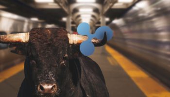 xrp ripple fiyati