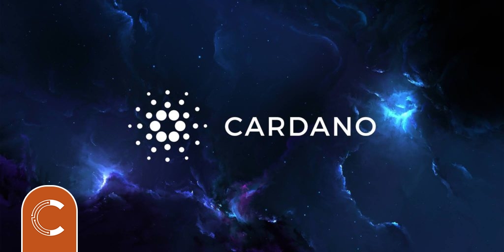 Bireysel Yatırımcılar Bitcoin’den (BTC) Çok Cardano’dan (ADA) Umutlu