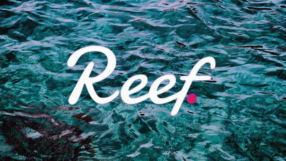 Reef aciklama