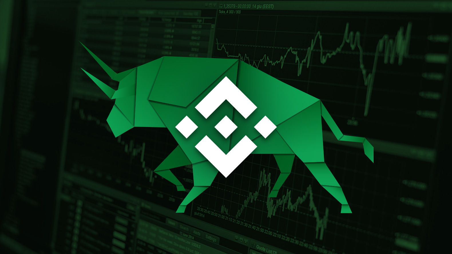 binance coin bnb boga