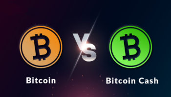 bitcoin cash elon musk