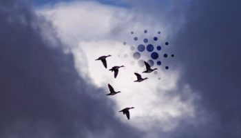 cardano ada fiyat analizi guclu yukselis trendini koruyor onemli seviyeler neler