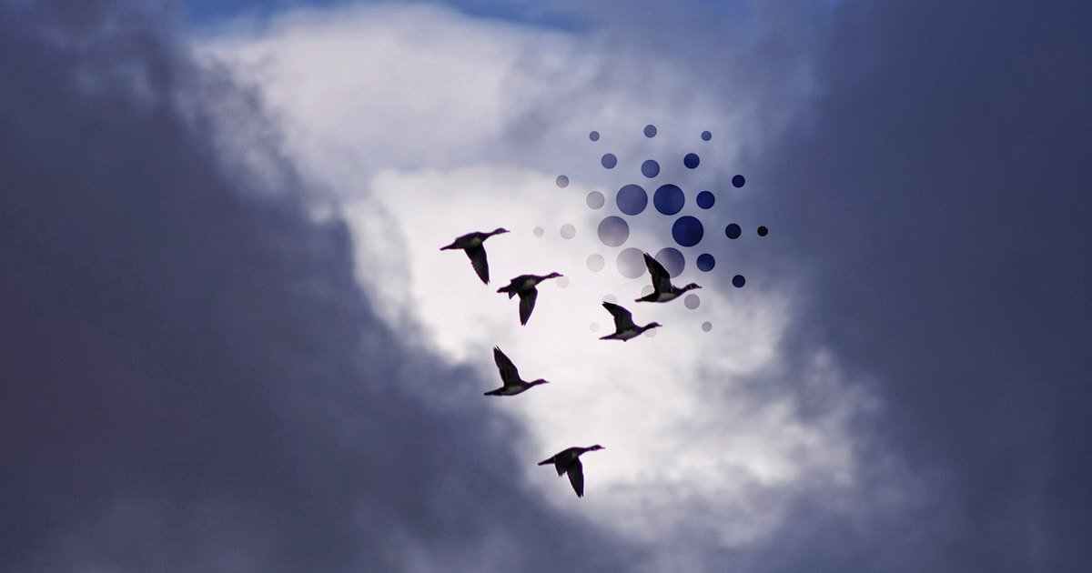 cardano ada fiyat analizi guclu yukselis trendini koruyor onemli seviyeler neler