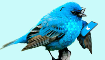 cardano ada kurucusu twitterla verdigi mucadeleden galip cikti