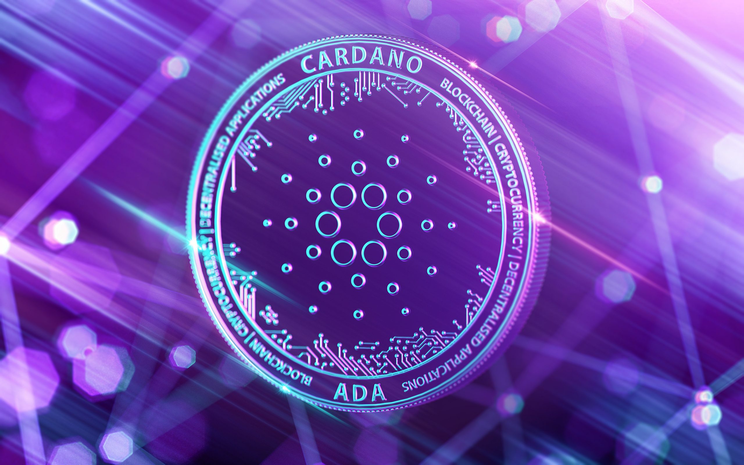 cardano34