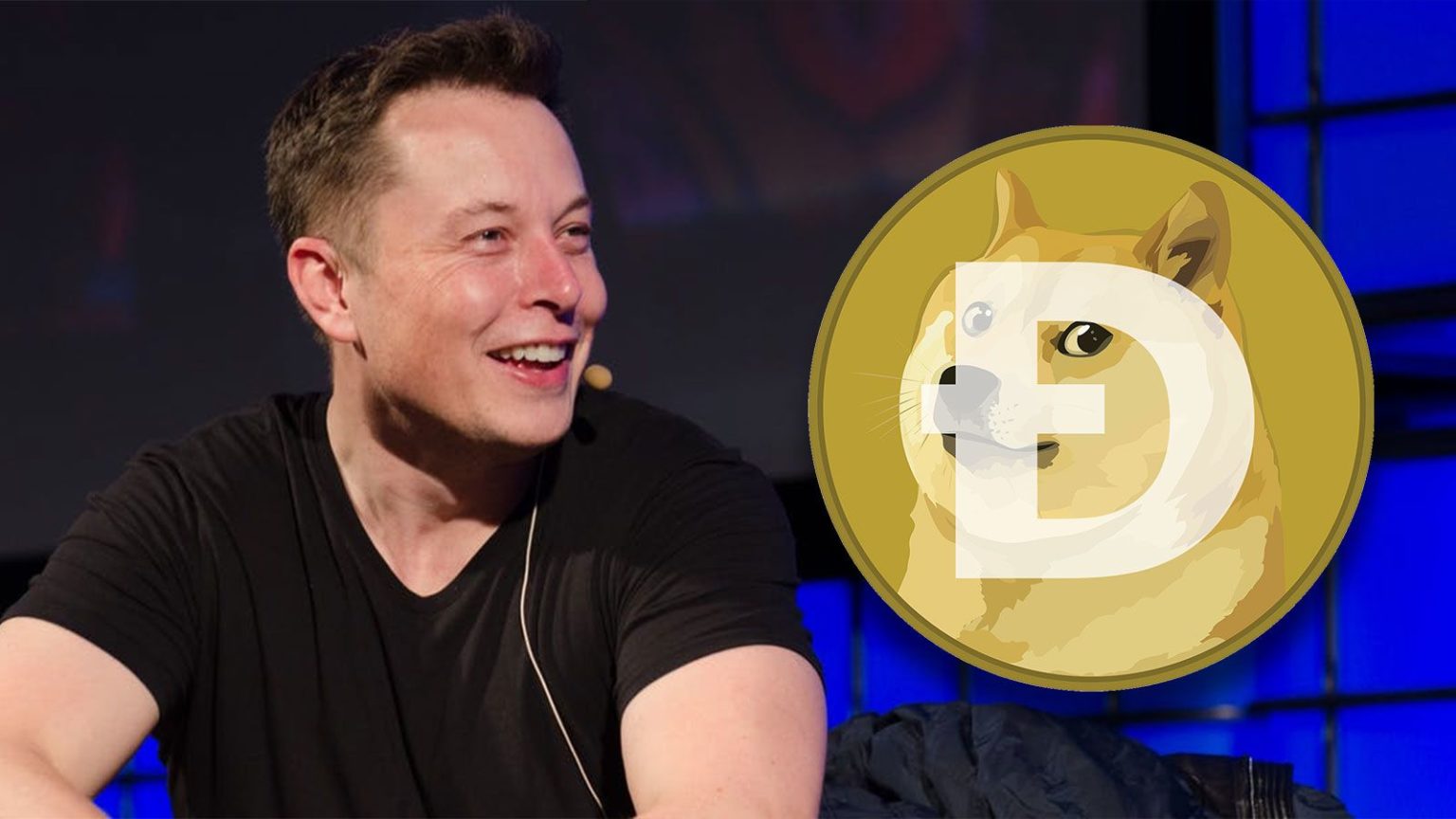 dogecoin elon musk sue