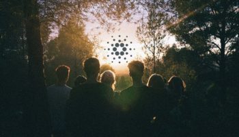 cardano ada kurucusu hoskinson agda muazzam miktarda hareketlilik var