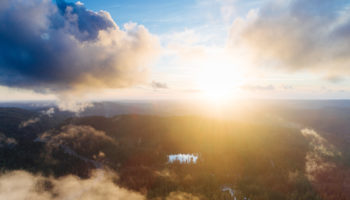 analist michael van de poppe ethereum eth cardano ada litecoin ltc ve chainlink link fiyat hedeflerini acikladi