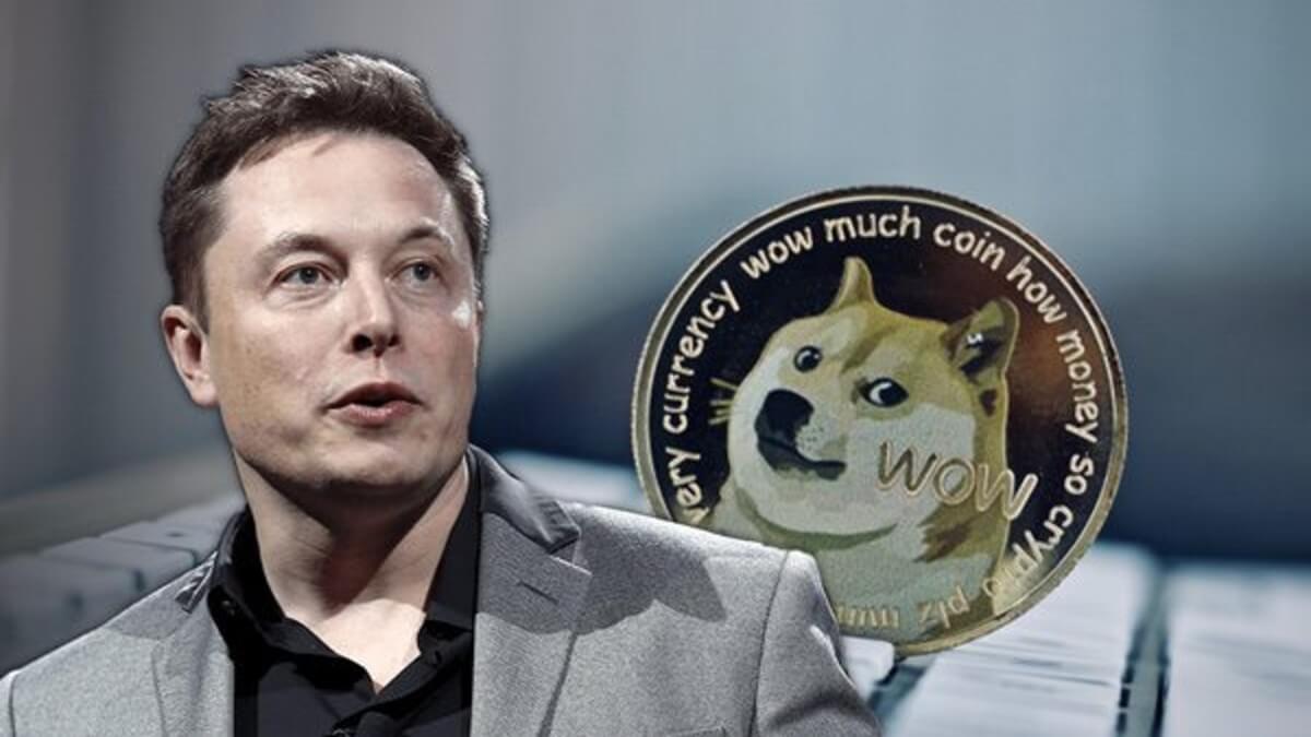 doge-musk.jpg