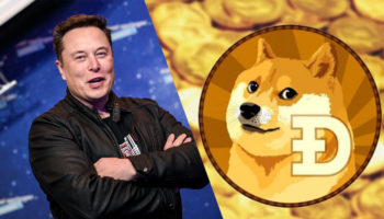 musk doge