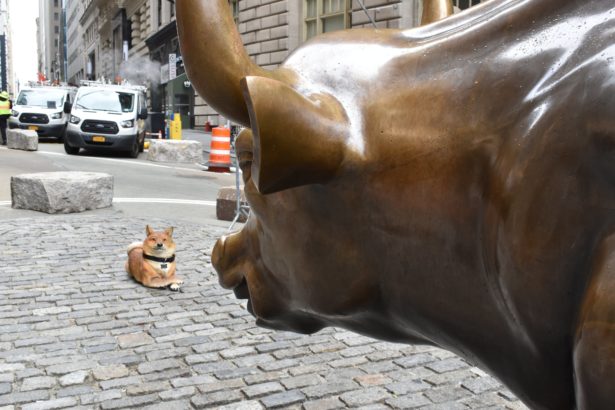 wall streetin unlu charging bull heykelinin onune dogecoini doge temsil eden shiba inu heykeli yerlestirildi