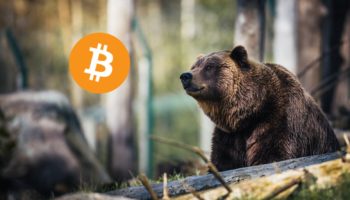 bitcoin ayi piyasasi