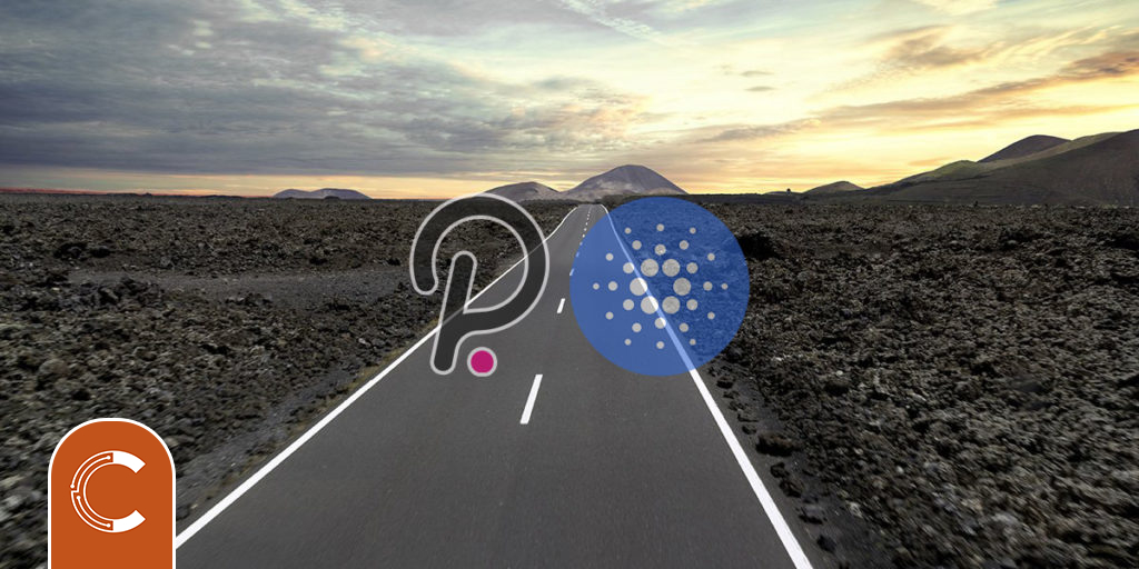Ethereum (ETH) Kurucu Ortağı Polkadot (DOT) ve Cardano’ya (ADA) Yatırım Yaptığını Söyledi