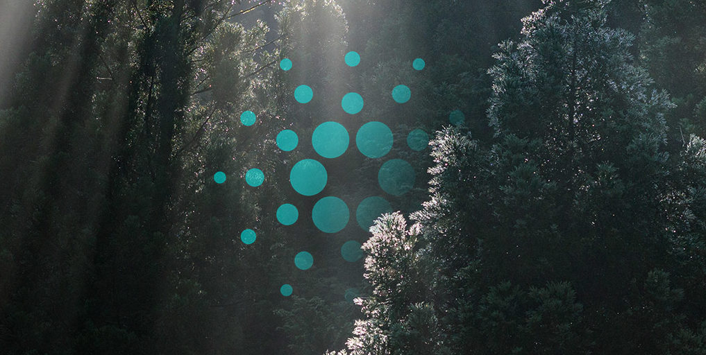 Analist Jason Pizzino Cardano (ADA) Hakkında Uyardı, Yıl Sonu ‘Gerçekçi’ Fiyat Hedefini Açıkladı