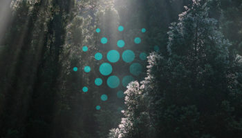 analist jason pizzino cardano ada hakkinda uyardi yil sonu gercekci fiyat hedefini acikladi