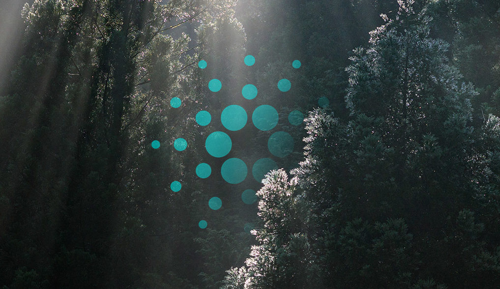 analist jason pizzino cardano ada hakkinda uyardi yil sonu gercekci fiyat hedefini acikladi