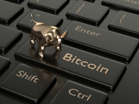 bitcoin shirt tasfiye