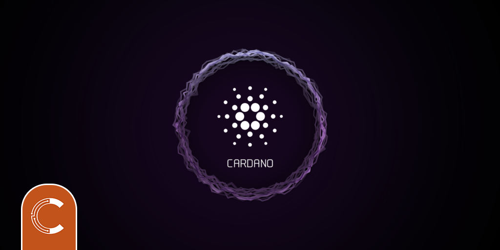 Charles Hoskinson, Cardano’da (ADA) “Binlerce” Varlık Olduğunu İddia Ediyor