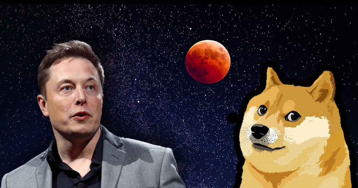 elon musk yeni bir dogecoin doge paylasimi yapti 1