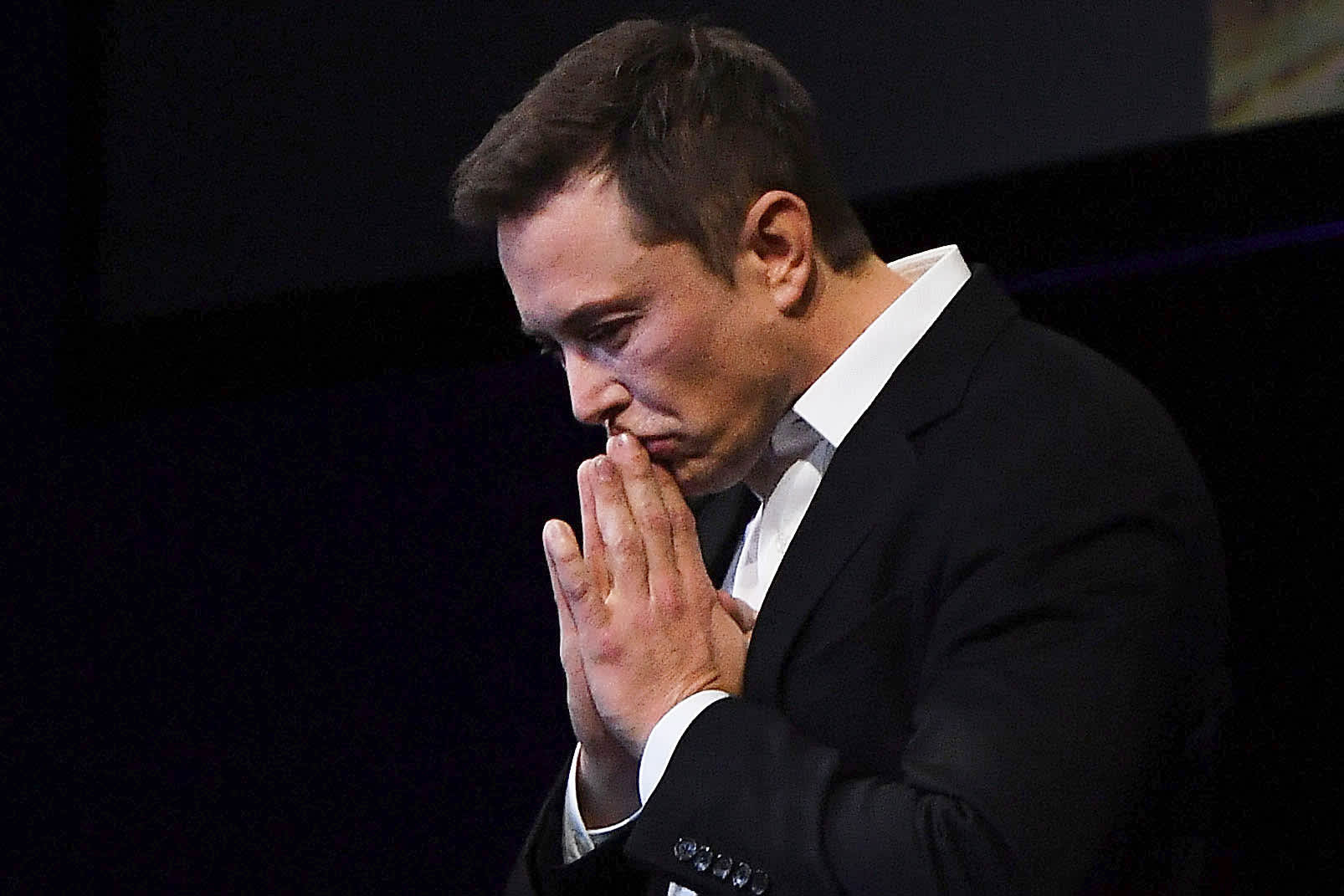 musk-doge-free-britney.jpg