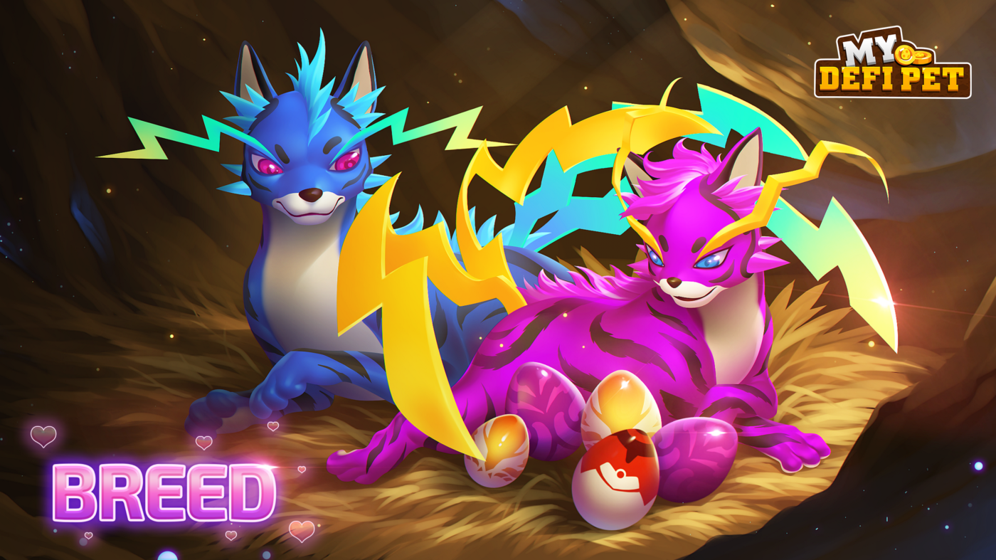 my defi pet nedir