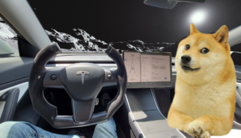 tesla dogecoin