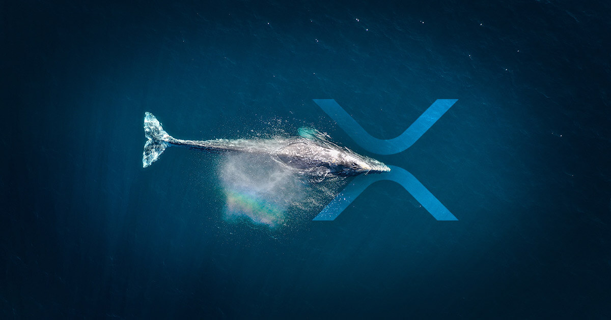 xrp balinalari harekete gecti