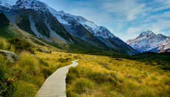 analist lark davise gore bu dikkat ceken kripto varlik daha fazla yukselebilir