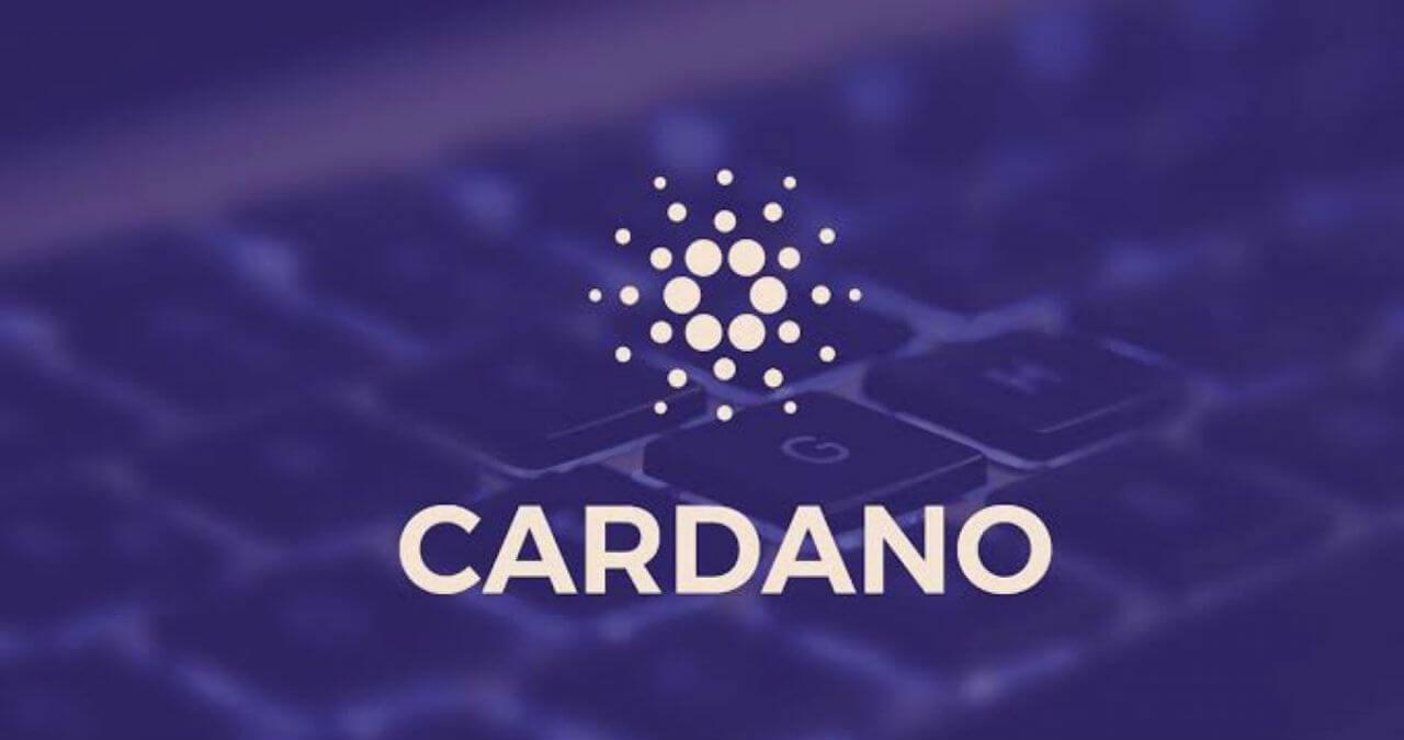 cardano nfta