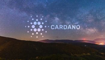 cardanodaki ada nft koleksiyonu acik artirmaya cikarildi
