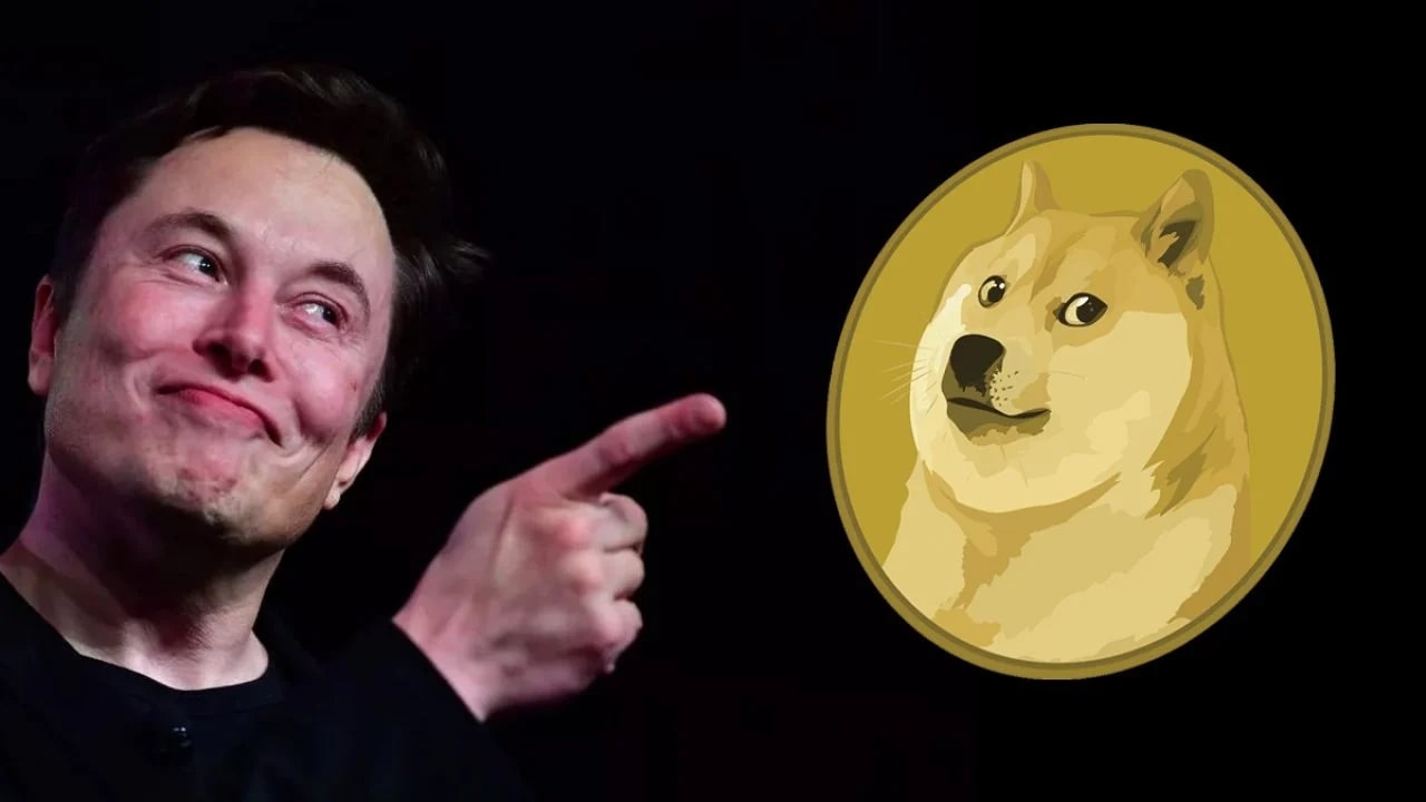 doge.jpg