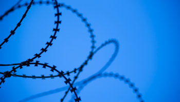 analist pentoshi bitcoin btc saticilari tuzaga dusuruyor