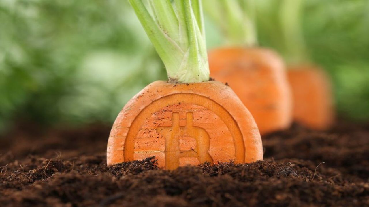 btc