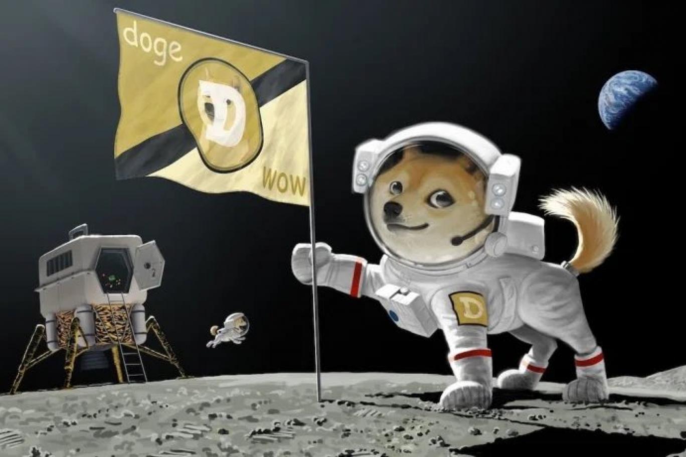 doge 1
