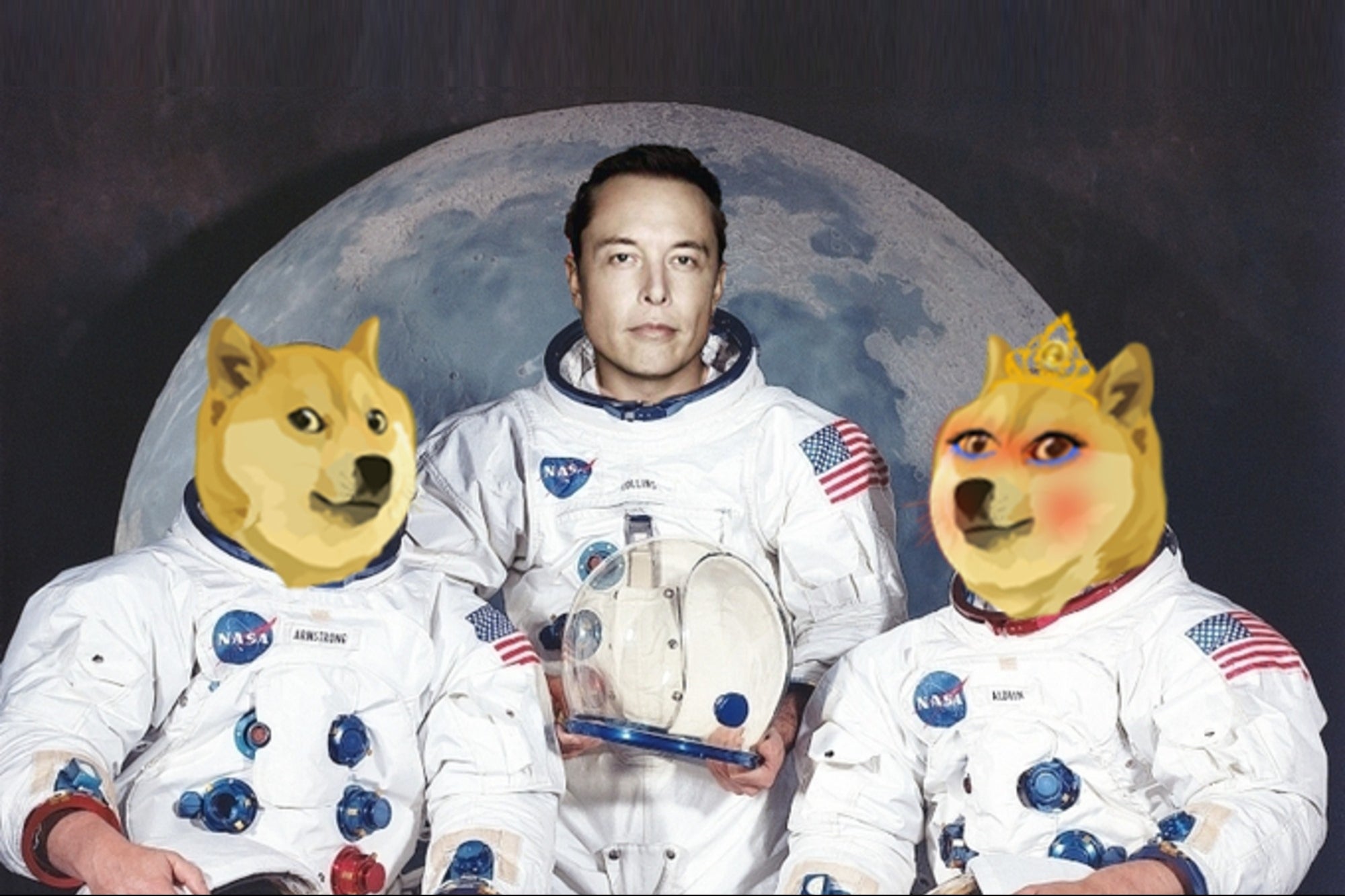 wifedoge